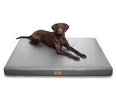 Orthopedic dog bed XL