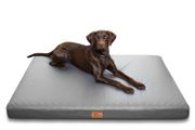 Orthopedic dog bed XL