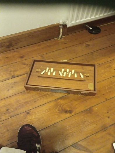 Shruti box