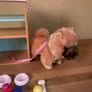Our Generation Pet Shop Image 2