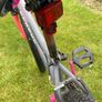 Serene Mountain Bike Image 5