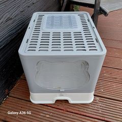 cat litter box