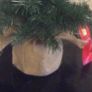 New M&S Christmas Tree Image 4