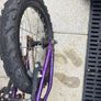 Ridgeback MX16 Image 2