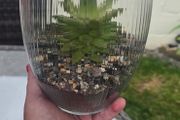 indoor