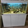 Complete fish tank Image 2