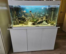 aquirium  Aquael , complete with heater,  large  new crystal pro  filter , all the gravel,wood,granite ,led light , and stand ,this cost me 1000 , im keeping my fish ,  if interested call  or text me , thanks the lowest price is 500 euro  it will be ready