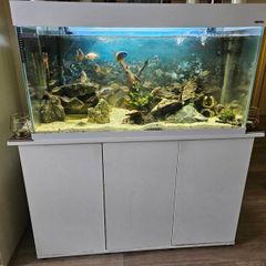 aquirium  Aquael , complete with heater,  large  new crystal pro  filter , all the gravel,wood,granite ,led light , and stand ,this cost me 1000 , im keeping my fish ,  if interested call  or text me , thanks the lowest price is 500 euro  it will be ready
