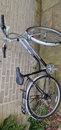 adult Bike