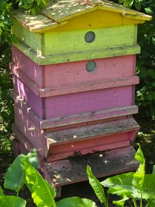 Bee hives