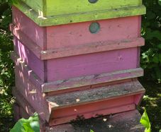 Bee hives