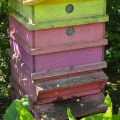Bee hives