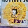 Radiohead - Pablo Honey (First Press 1993 - NM/NM) Image 8