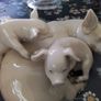 Lladro Pig & Piglets Image 3
