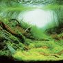 Aqua Nova Plant/Ocean Double Sided Background 150x60cm Image 3