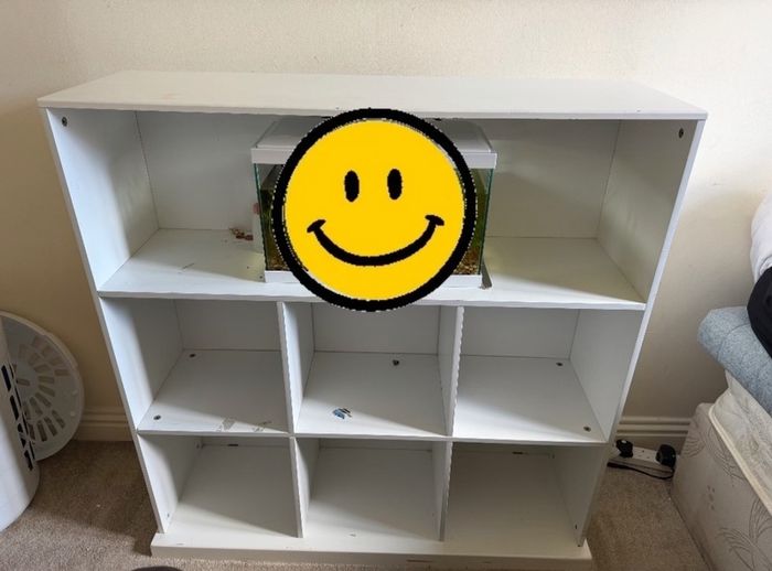 kallax shelves