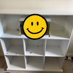 kallax shelves
