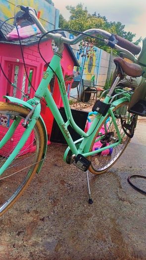 lady bikes
