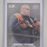 AEW Upper Deck 2021 UD CANVAS Wrestking Trading Card Bundle Image 6