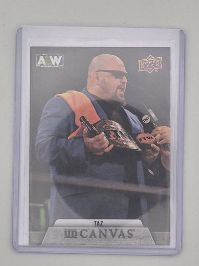 AEW Upper Deck 2021 UD CANVAS Wrestking Trading Card Bundle