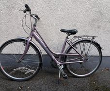 Ladies Raleigh Pioneer Hybrid Step-Through Bicycle