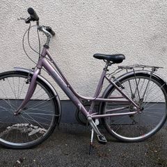Ladies Raleigh Pioneer Hybrid Step-Through Bicycle