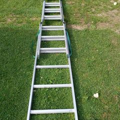 ladder