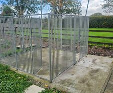 Dog Run & Transport Cages