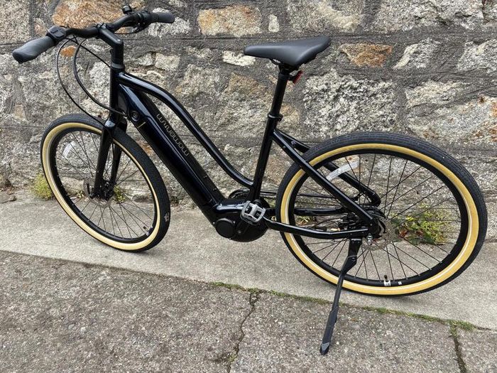 Brand New GIANT Momentum Electric Bike