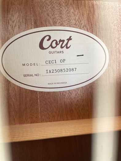 Cort Guitar