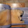 Little Polar Bears by Thorsten Milse. Image 4