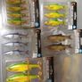 Savage Gear LB Roach Swim & Jerk Image 3