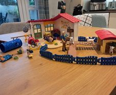 Schleich dog day care