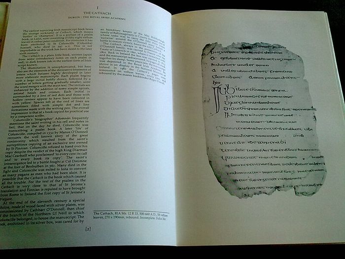 The Irish Hand Scribes and manuscripts with exemplar of scripts Ireland Dolmen