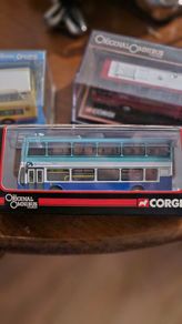corgi southdown psv