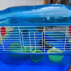 Small hamster cage with accessories