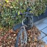 Man's bike going for free Image 2