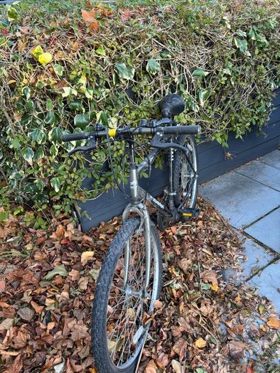Man's bike going for free