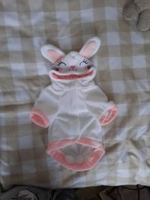 bunny dog coat/costume