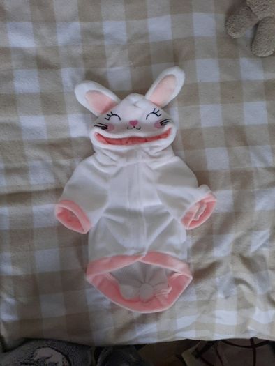 bunny dog coat/costume