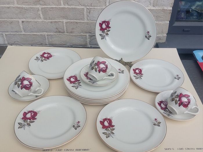 Beautiful Set of Six Large Dinner Plates by Arklow Pottery in the Very Popular and Collectable "Autumn Rose" Pattern