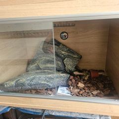 reptile tank enclosure