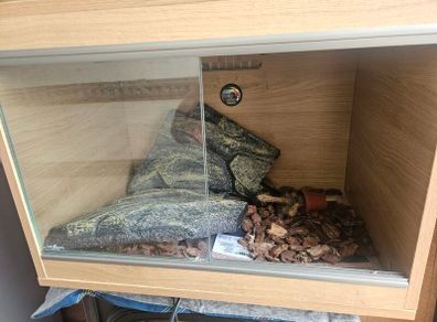 reptile tank enclosure