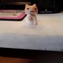 Fat cat toys Image 3