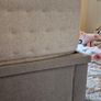 Super King Ottoman bed frame and Mattress Image 9