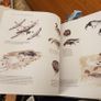 . Birds In Norfolk. A National & International Perspective By Andt Brown FABOLOUS LARGE VOLUME BOOK. In very good condition. . James Mccallum. Image 7