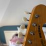 Squier - Mustang w/ Hot Rail Image 5