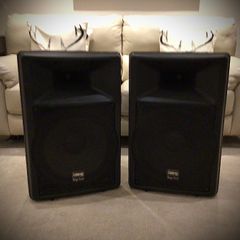 Stage line 15 inch speakers