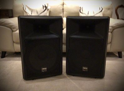Stage line 15 inch speakers