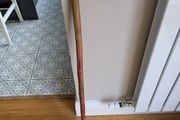 Walking sticks